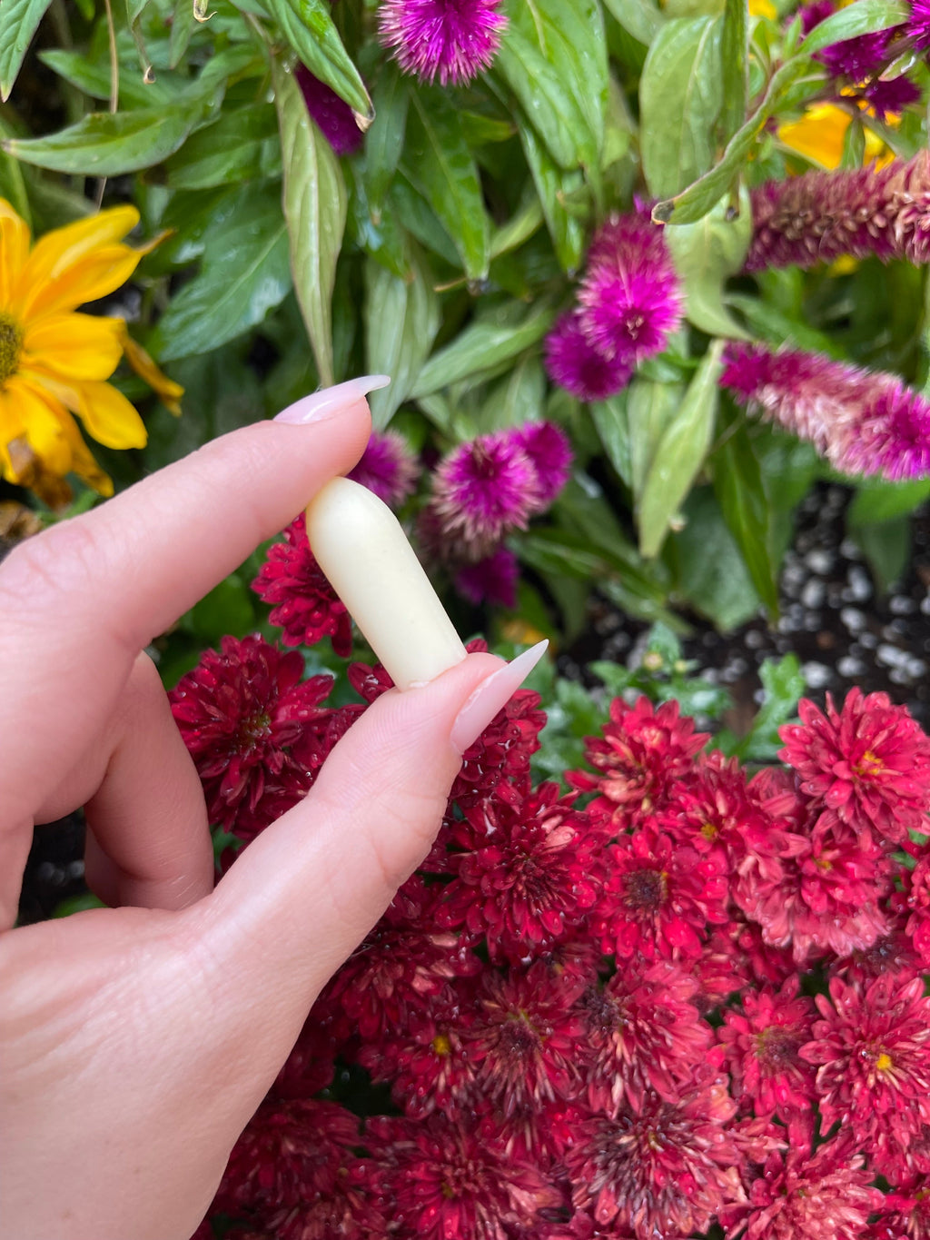 NeuEve CV Clear | Natural Relief for Vaginal Discomfort & Imbalance