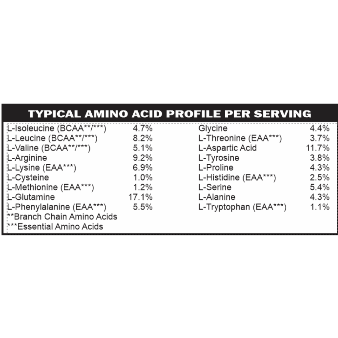 Elemental Vegan Protein Powder — Gut-Gentle Plant-Based Nutrition